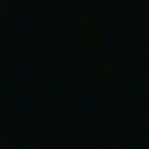 Meet your Posher, Henry