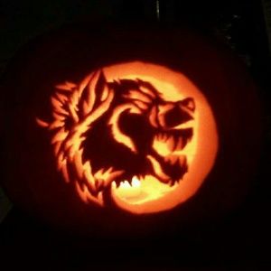 Meet your Posher, Christy