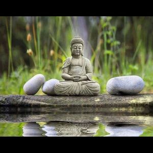 Meet your Posher, Cathy