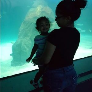 Meet your Posher, Sam