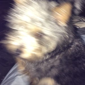 Meet your Posher, Donna