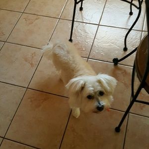 Meet your Posher, Eartha