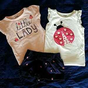 Two cute ladybug tops with matching shorts