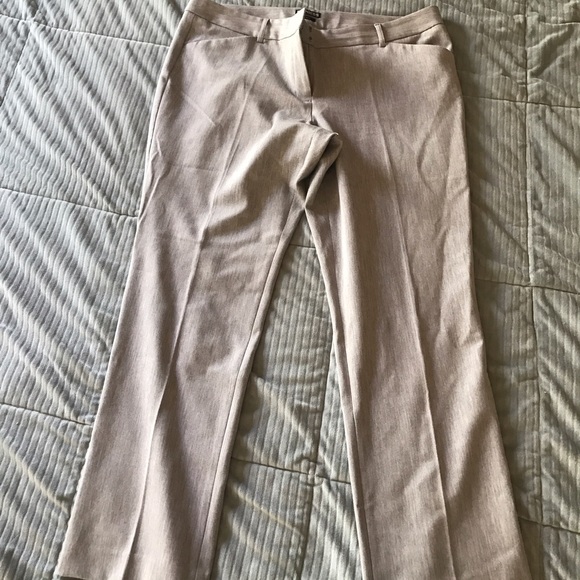 Express Grey Editor Pants