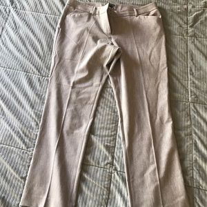 Express Grey Editor Pants