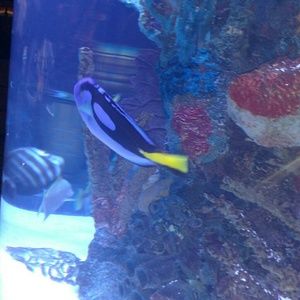 Meet your Posher, Sheena