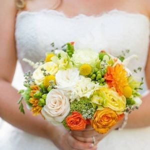 Meet your Posher, Ellen