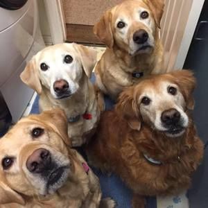 Meet your Posher, Janie