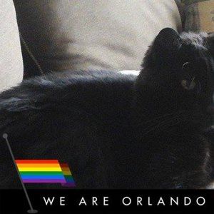 Meet your Posher, Lydia