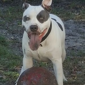 Meet your Posher, Jeff