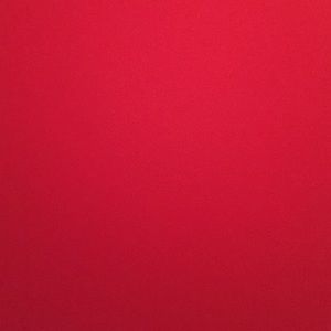 Meet your Posher, Bobby