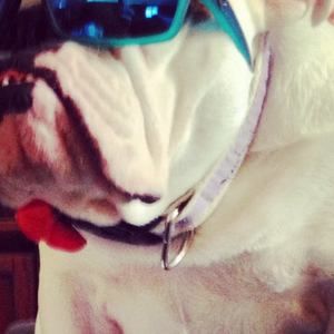 Meet your Posher, Sharon