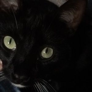 Meet your Posher, Caroline