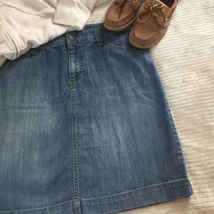 Meriona denim skirt