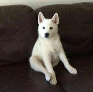 Meet your Posher, Lijuan