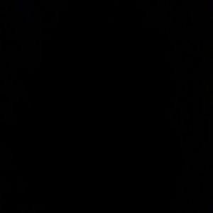 Meet your Posher, Lee