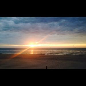 Meet your Posher, Aubrey