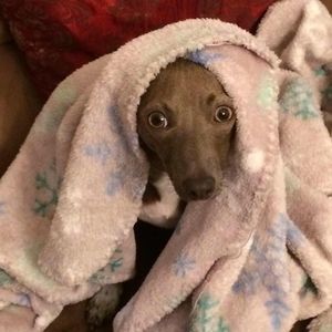 Meet your Posher, Lynnette