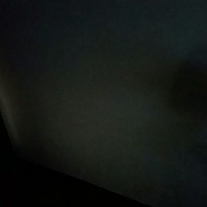 Meet your Posher, Jelandria