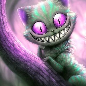 Meet your Posher, Suzanne