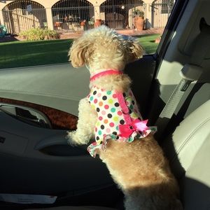 Meet your Posher, Martha