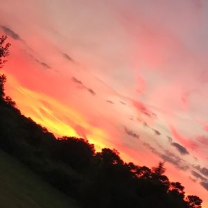 Meet your Posher, Cassie