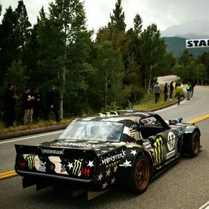 Meet your Posher, Elvis