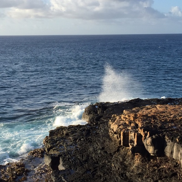 Meet your Posher, Emily - Picture 1 of 1