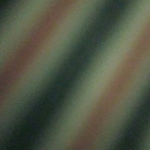 Meet your Posher, Camilo