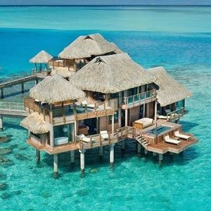 Meet your Posher, Ramona