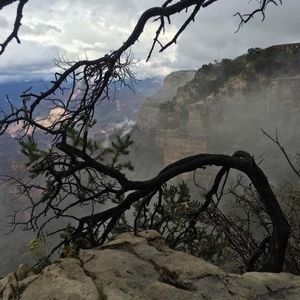 Meet your Posher, Phillip