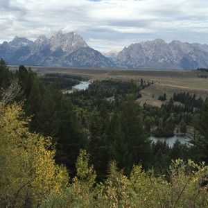Meet your Posher, Lesley
