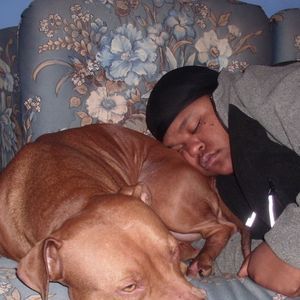 Meet your Posher, Maya