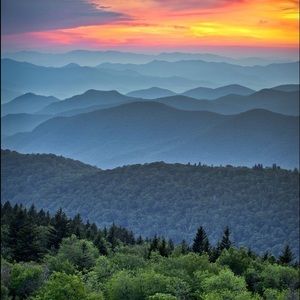 Meet your Posher, Mckenzie