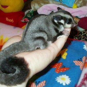 Meet your Posher, Amy