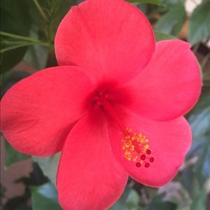 Meet your Posher, Charlotte