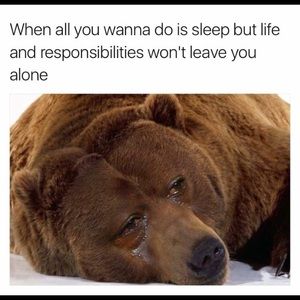 Meet your Posher, Caleb