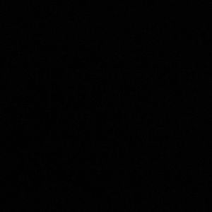 Meet your Posher, Preston