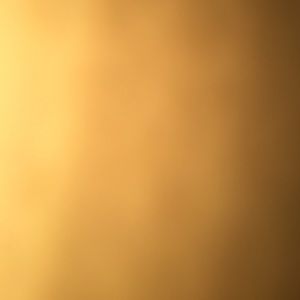 Meet your Posher, Tisha