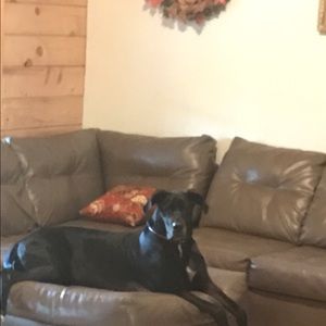 Meet your Posher, Melissa