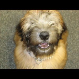 Meet your Posher, Kevin