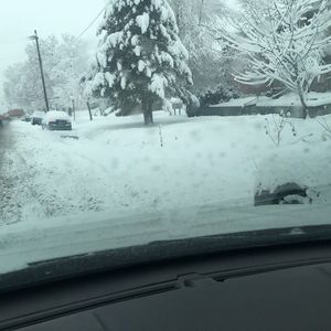 Meet your Posher, C anne