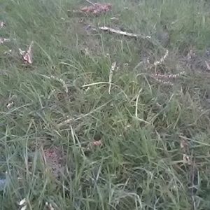 Meet your Posher, Jami