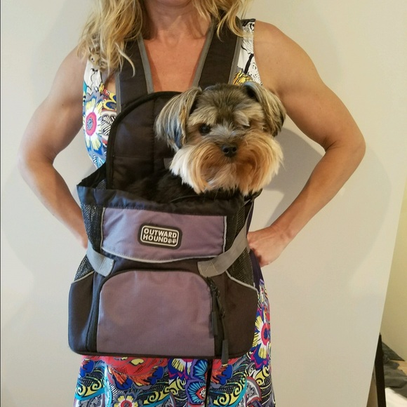 Front load wearable dog carrier