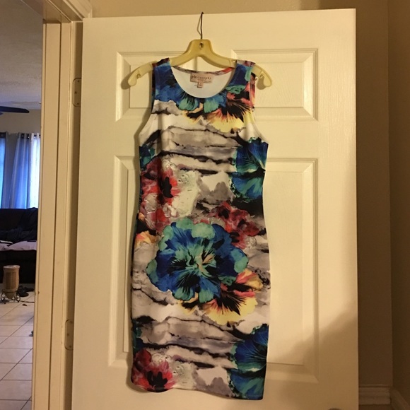 Philosophy Sleeves Dress