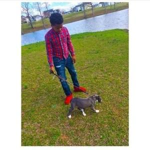 Meet your Posher, Braxton