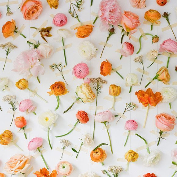 Meet your Posher, Kay - Picture 2 of 8