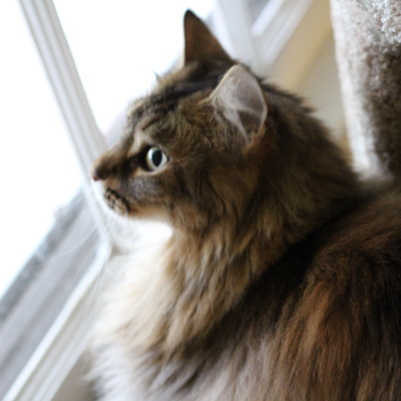 Meet your Posher, Kay - Picture 4 of 8