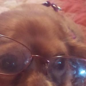 Meet your Posher, Paulette