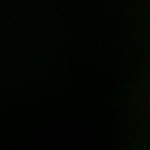 Meet your Posher, Dominique